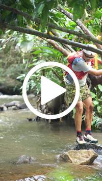 BIB:  <button type="button" onclick="openModal(27824338)" class="btn btn-primary btn-sm float-right" data-toggle="modal" data-target=".modal-high-quality">
                <i class="fa fa-download"></i> Download
                </button>